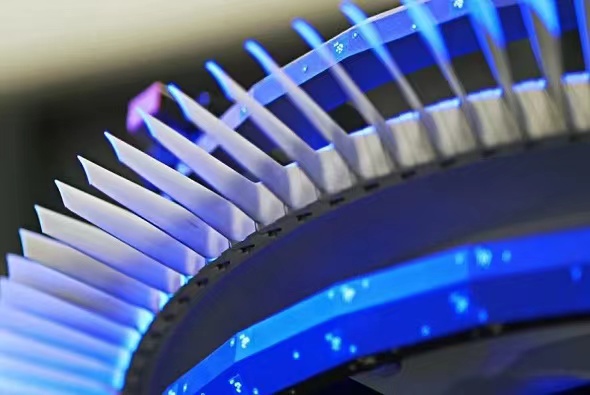 叶片这么美，见过吗？